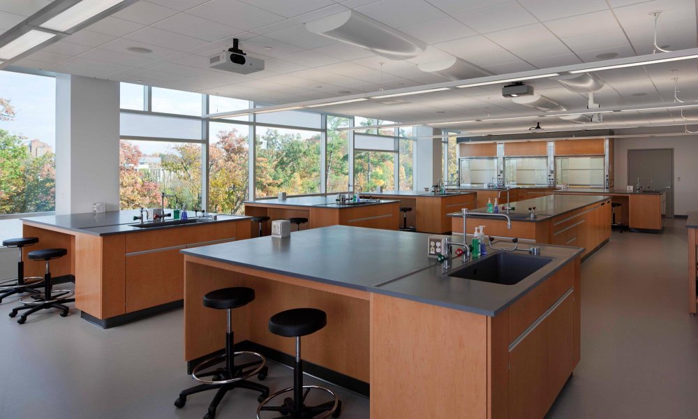 cornell undergraduate research labs